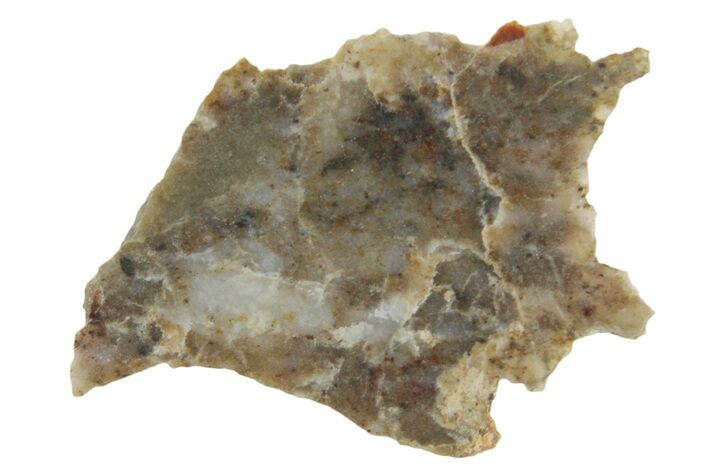 Lunar Meteorite ( g) Slice - Laayoune #360192